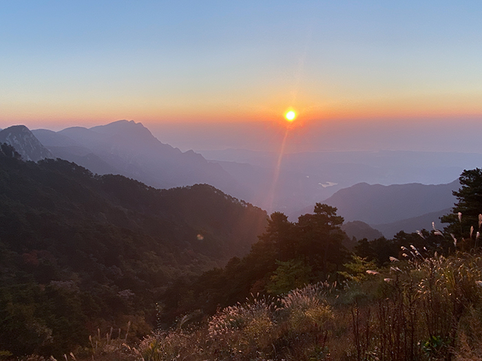 寻梦庐山——36位中外艺术家探寻庐山多元美学