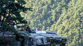 寻梦庐山——36位中外艺术家探寻庐山多元美学