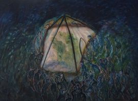 夜黑风高之偷窥