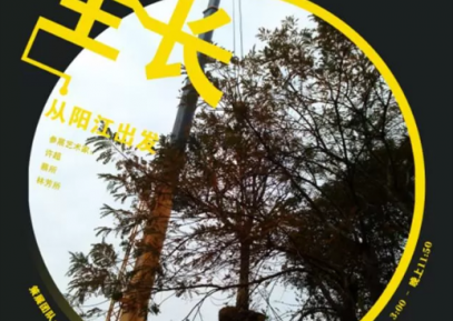 “全球生长”从阳江出发作品群展