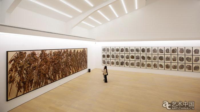 从“葵园如山”到“所念皆山”,许江二十年绘画在京展出