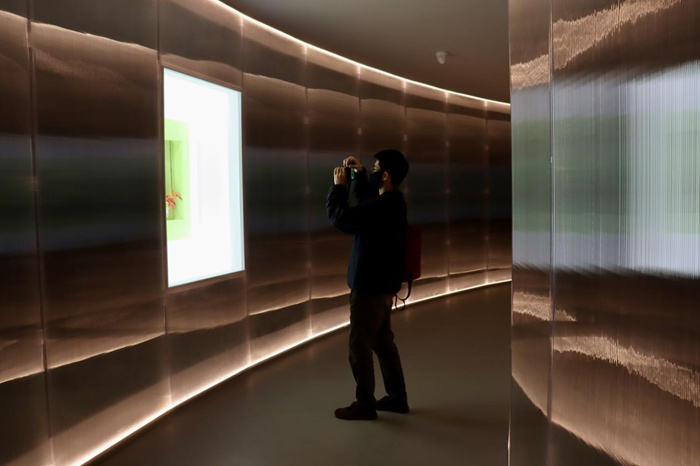 跨越边界的生命实验:安妮卡·易中国首展