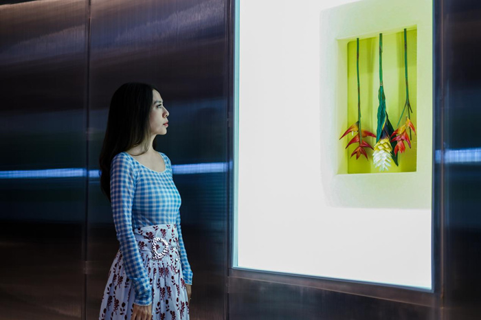 跨越边界的生命实验:安妮卡·易中国首展