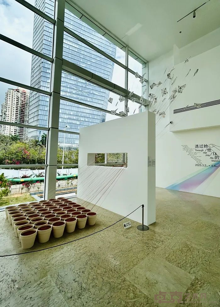 28组海外华人艺术家,呈现一场关于“身份”的沉浸式体验