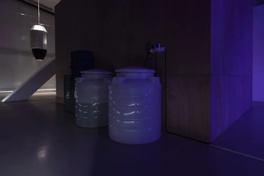 今天,我们需要什么样的年轻艺术家?他们需要怎样的实验空间?