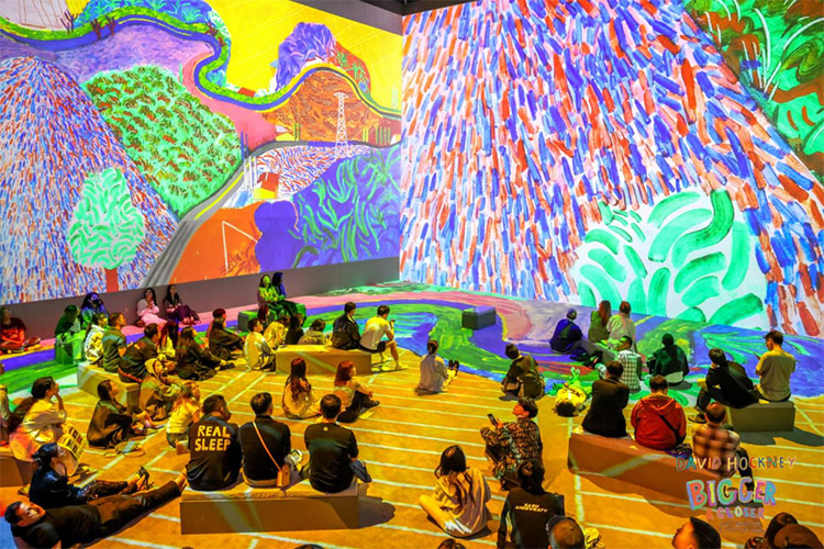 更大,更近:大卫·霍克尼最大规模沉浸式艺术展登陆上海