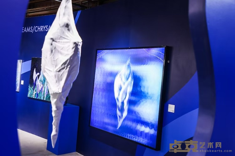 玛丽娜·费德洛娃《蛹变》盛大亮相ART021 BEIJING