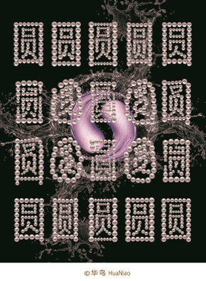 华鸟|中央美术学院客座教授