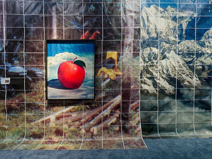 探索新的生命与感官交流模式——花儿听到蜜蜂了吗？第 15 届上海双年展开幕