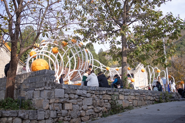 崎岖无退，回乡歌且谣——左靖专访