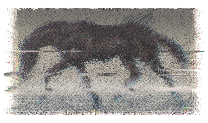 于晓冬，《幻·相·马》，纸本版画